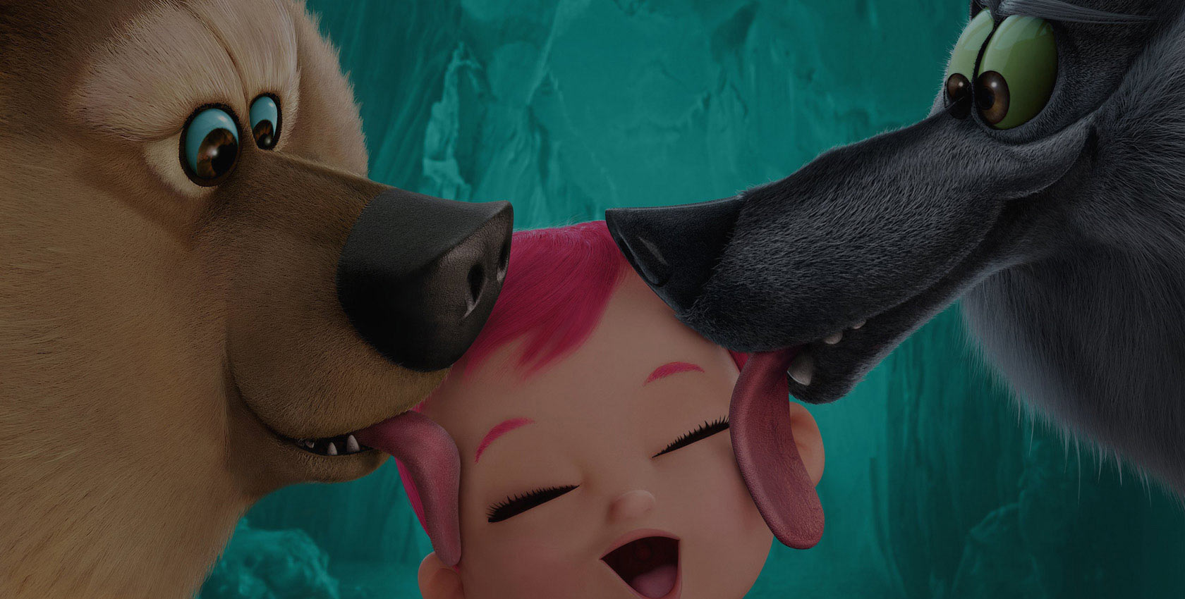 充值平台快速的手机号短信轰在线轰炸免费软件